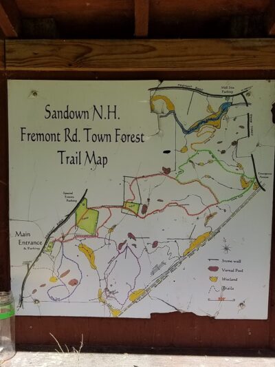 Sandown Town Forest - Sandown, NH