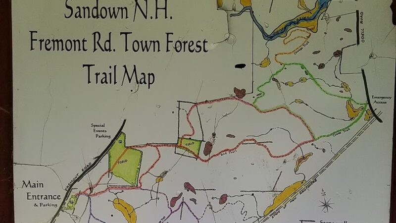 Sandown Town Forest - Sandown, NH