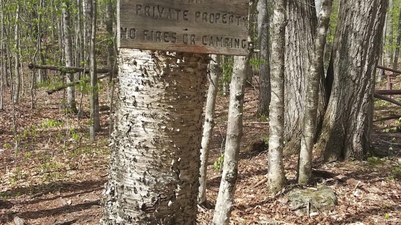 Bennett St. Trailhead - Sandwich, NH