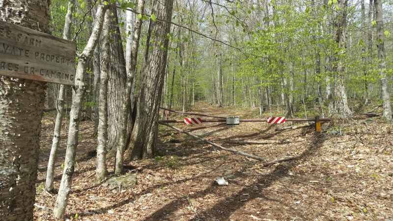 Bennett St. Trailhead - Sandwich, NH