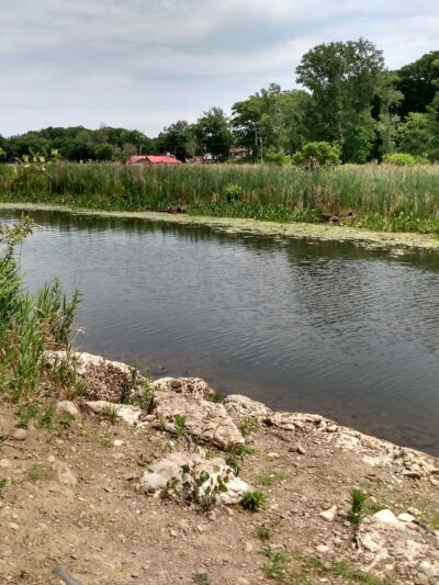 Sandy Creek - Sandy Creek, NY