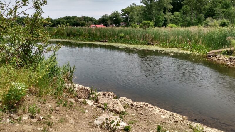 Sandy Creek - Sandy Creek, NY