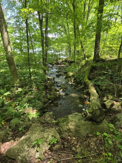 John C Oliver Multipurpose Trail Trailhead - Sandy Lake, PA