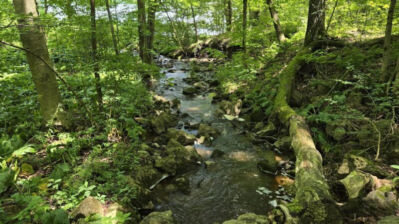 John C Oliver Multipurpose Trail Trailhead - Sandy Lake, PA