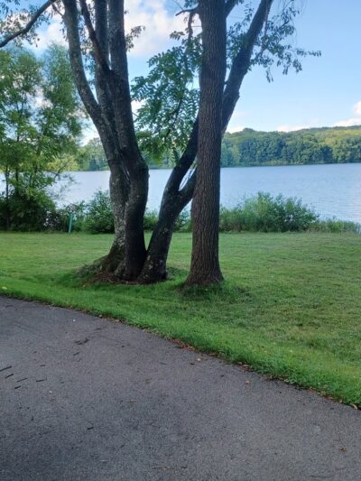 John C Oliver Multipurpose Trail Trailhead - Sandy Lake, PA