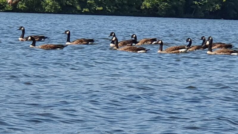 Lake Wilhelm Boat Launch #3 - Sandy Lake, PA
