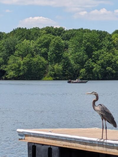 Lake Wilhelm Dam parking area w/trail access and restrooms - Sandy Lake, PA
