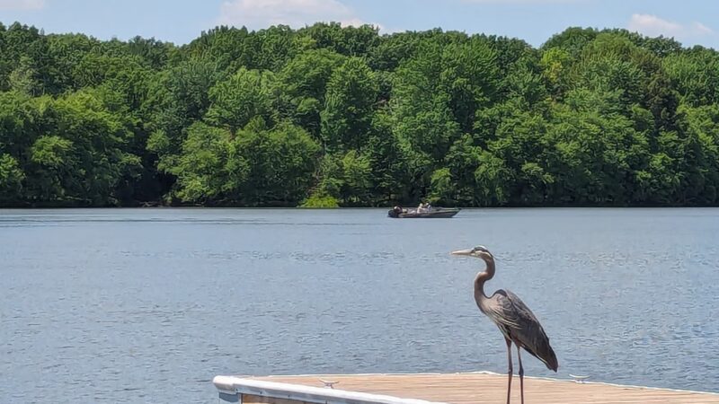 Lake Wilhelm Dam parking area w/trail access and restrooms - Sandy Lake, PA