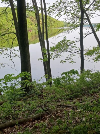 Lake Wilhelm Dam parking area w/trail access and restrooms - Sandy Lake, PA