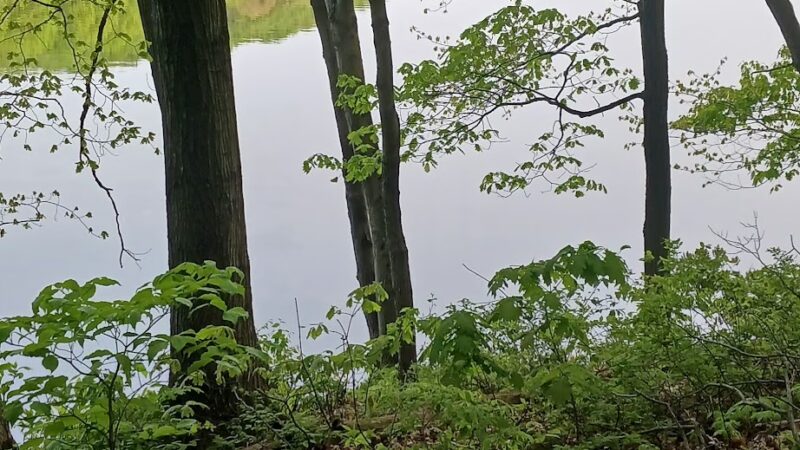 Lake Wilhelm Dam parking area w/trail access and restrooms - Sandy Lake, PA