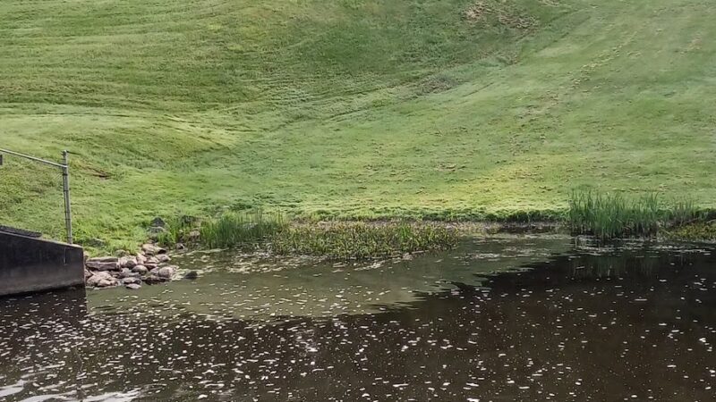 Lake Wilhelm Dam parking area w/trail access and restrooms - Sandy Lake, PA