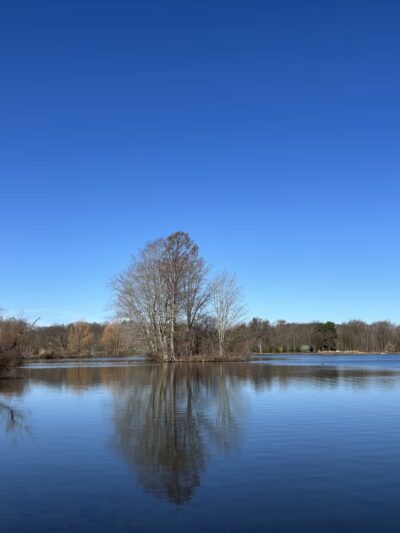 Lake Wilhelm Marina - Sandy Lake, PA
