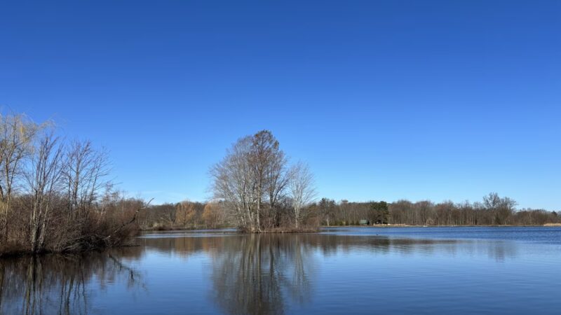 Lake Wilhelm Marina - Sandy Lake, PA