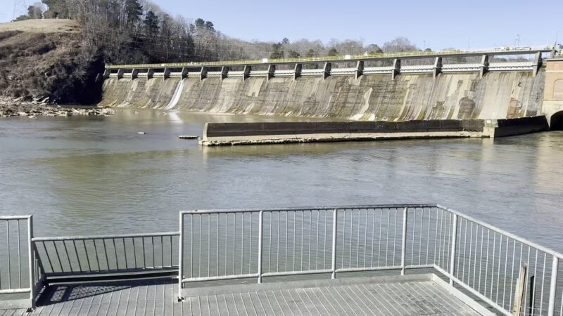 Morgan Falls River Park / Dog Park - Sandy Springs, GA