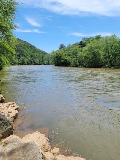 Morgan Falls River Park / Dog Park - Sandy Springs, GA