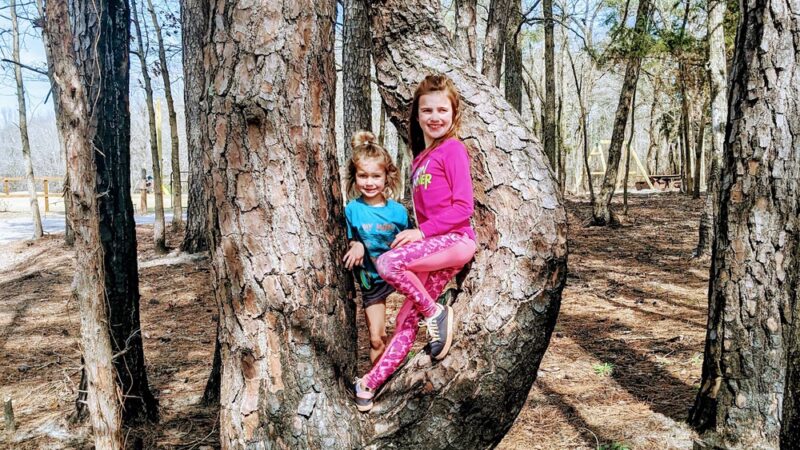 Lemon Springs Community Park - Sanford, NC