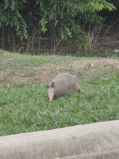 Sanger Sports Park - Sanger, TX