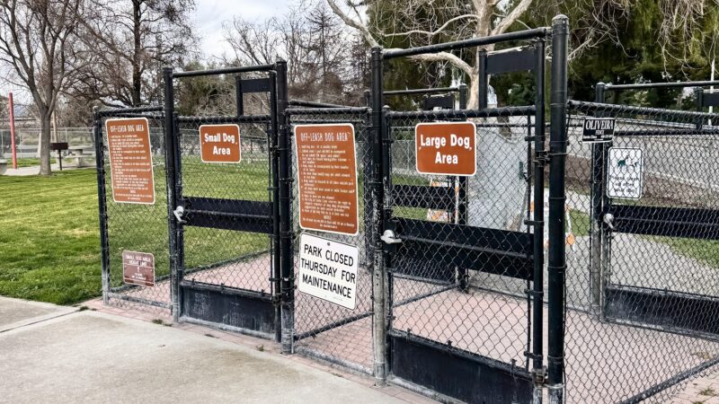 Larry J Marsalli Dog Park - Santa Clara, CA