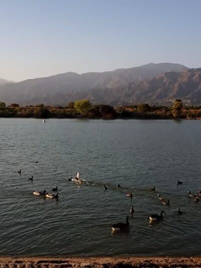 Santa Fe Springs Park - Santa Fe Springs, CA