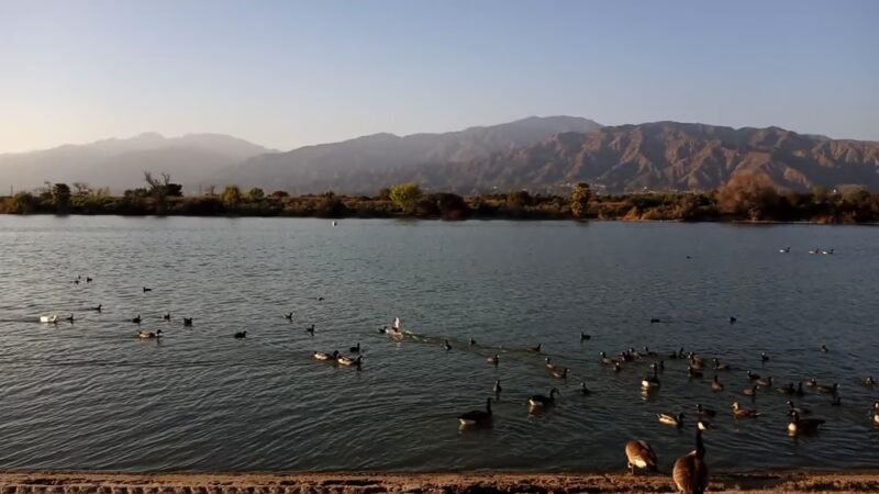 Santa Fe Springs Park - Santa Fe Springs, CA