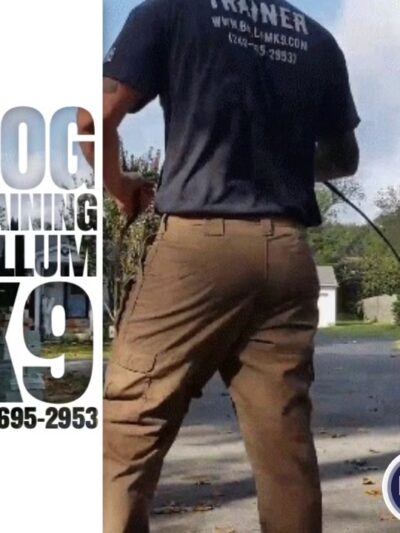 Bellum K9 Inc - Santa Fe, TX