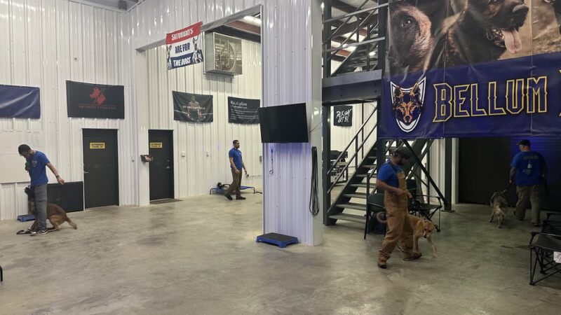 Bellum K9 Inc - Santa Fe, TX