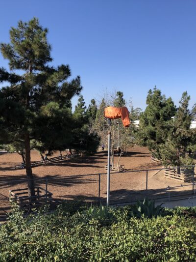 Airport Park Dog Park - Santa Monica, CA