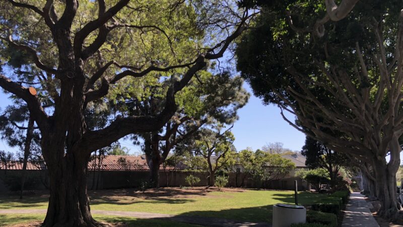 Ashland Park - Santa Monica, CA