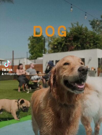 DOG PPL - Santa Monica, CA