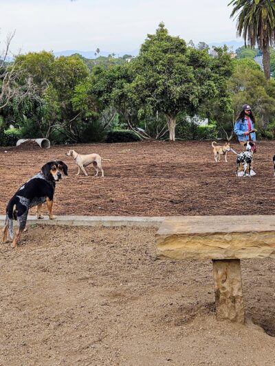 Joslyn Park - Santa Monica, CA
