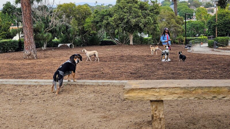Joslyn Park - Santa Monica, CA