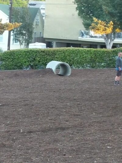 Joslyn Park - Santa Monica, CA