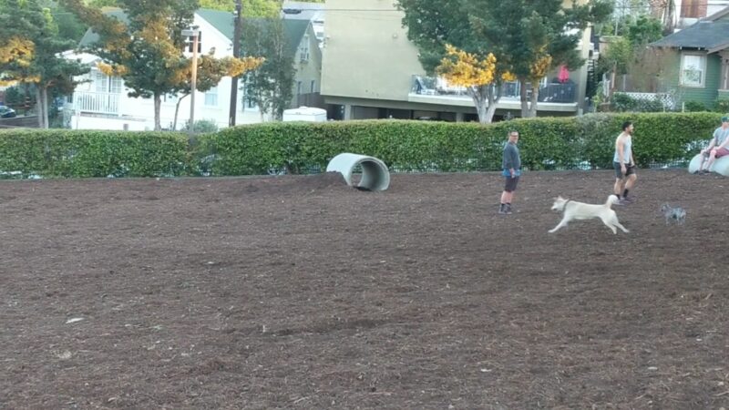 Joslyn Park - Santa Monica, CA