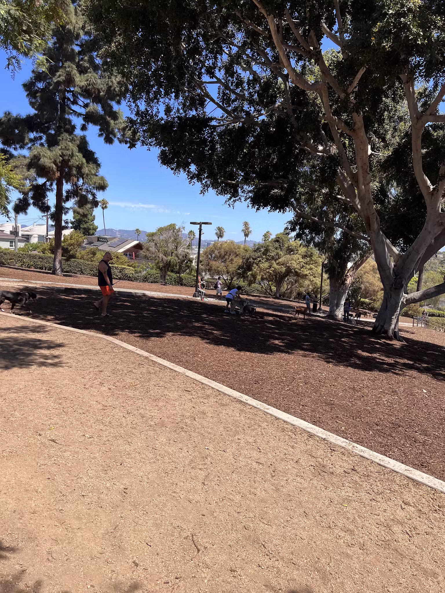 Joslyn Park - Santa Monica, CA