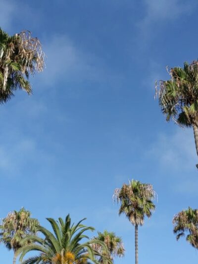 Ocean View Park - Santa Monica, CA