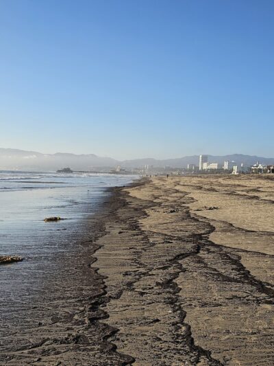 Ocean View Park - Santa Monica, CA