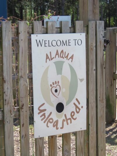 Walton County Dog Park - Santa Rosa Beach, FL