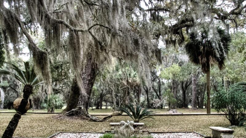 Reynold's Mansion on Sapelo Island - Sapelo Island, GA
