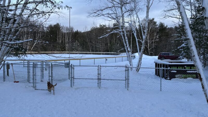 Dog Park - Saranac Lake, NY