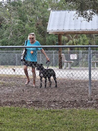 17th Street Paw Park - Sarasota, FL