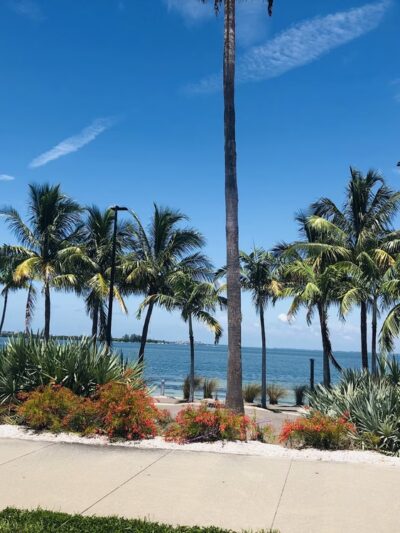 Bird Key Park - Sarasota, FL