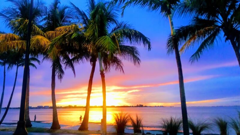 Bird Key Park - Sarasota, FL