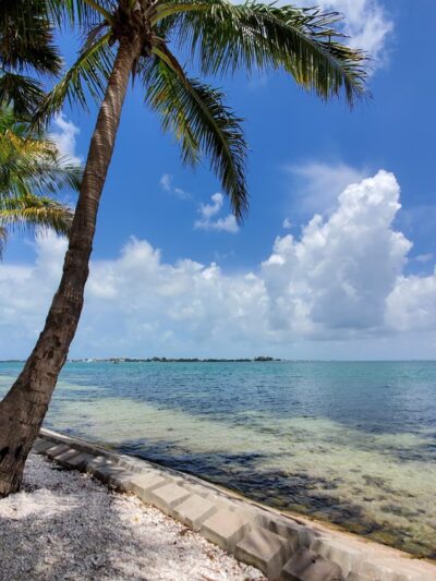 Bird Key Park Car Park - Sarasota, FL