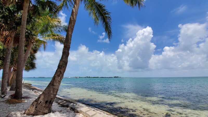 Bird Key Park Car Park - Sarasota, FL