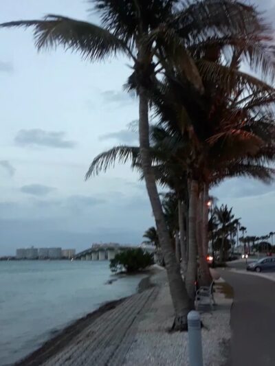 Bird Key Park Car Park - Sarasota, FL