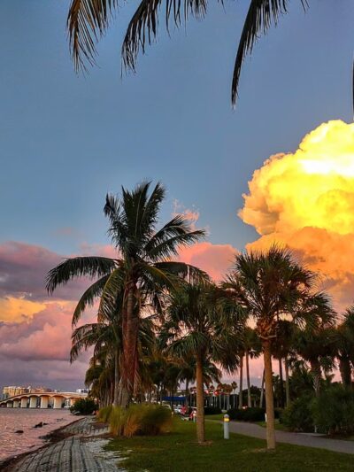 Bird Key Park Car Park - Sarasota, FL