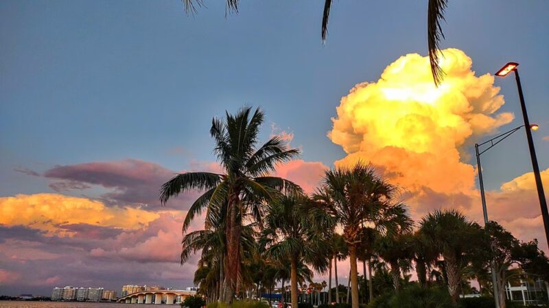 Bird Key Park Car Park - Sarasota, FL