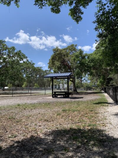 Canine Club Dog Park - Sarasota, FL