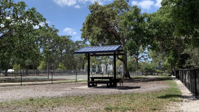 Canine Club Dog Park - Sarasota, FL