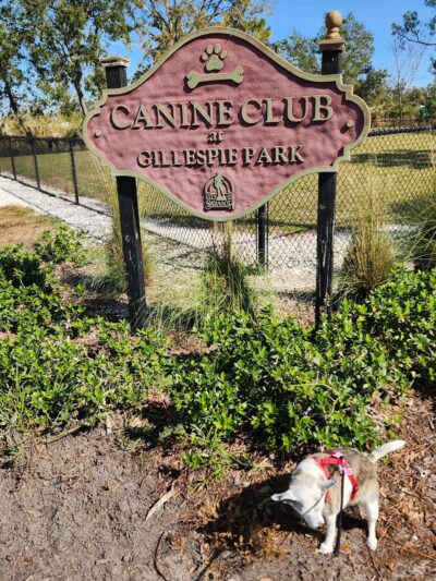 Canine Club Dog Park - Sarasota, FL
